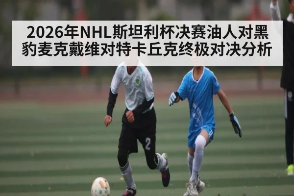 2026年NHL斯坦利杯决赛油人对黑豹麦克戴维对特卡丘克终极对决分析